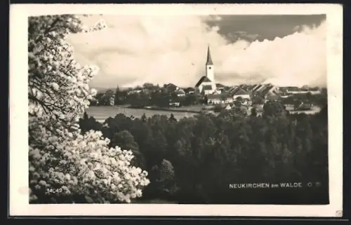 AK Neukirchen am Walde, Teilansicht mit Kirche