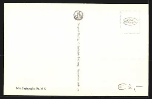 AK St. Wolfgang, Teilansicht mit Sparberg und Pleckwand