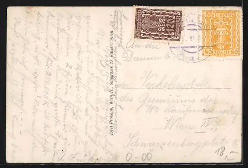 AK Sarleinsbach, Blick in den Ort