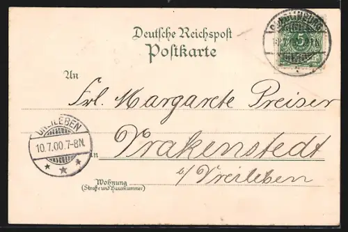 Lithographie Quedlinburg, Panorama, Schloss, Rathaus und Siegesdenkmal