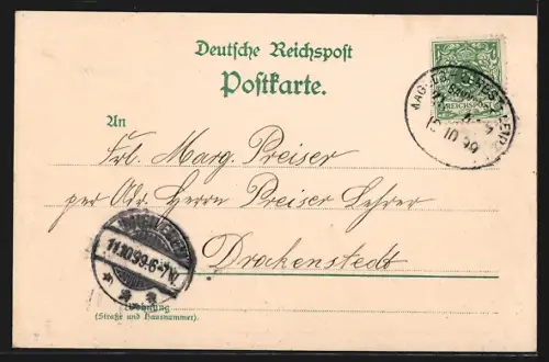 Lithographie Gommern / Anhalt, Burg, Ortsansicht mit Kirche