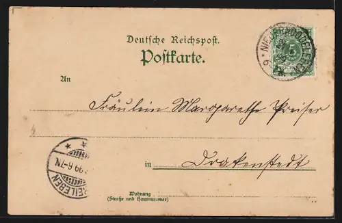 Lithographie Niederndodeleben, Bahnhof, Warenhaus Post A. Meyer, Fabrik, Villa