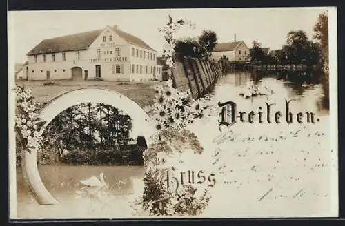 AK Dreileben, Gasthof zum Deutschen Hause, Schwäne auf dem Wasser