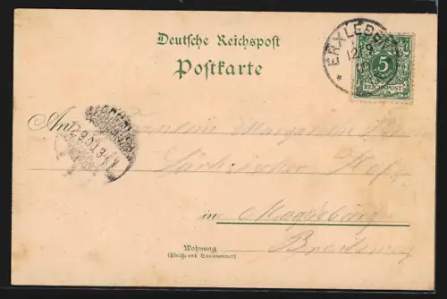 Lithographie Erxleben / Haldensleben, Gasthof z. goldenen Krone, Bes. L. Lühr, Schloss