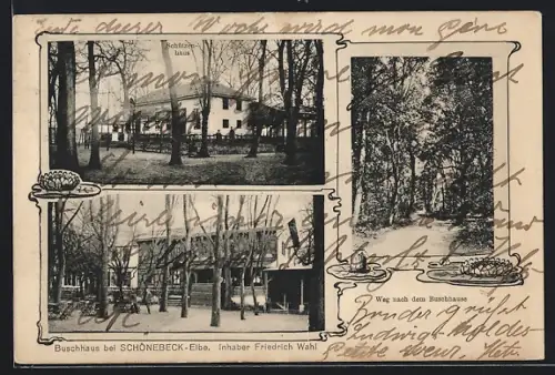 AK Schönebeck /Elbe, Gasthaus Buschhaus, Inh. Friedrich Wahl, Wegpartie zum Gasthaus