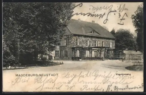 AK Magdeburg-Neustadt, Strassenpartie Vogelsang