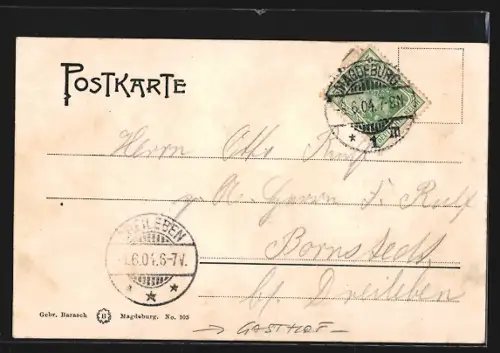 AK Magdeburg-Neustadt, Strassenpartie Vogelsang