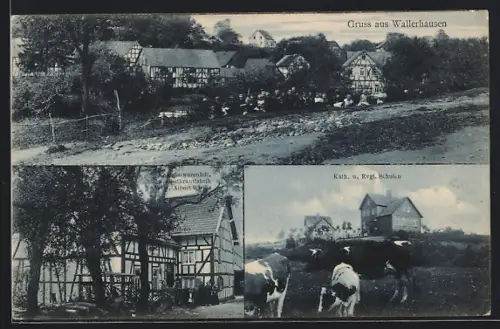 AK Wallerhausen, Kolonialwarenhandlung und Obstkrautfabrik Albert Wirths, Kath. und Evgl. Schulen