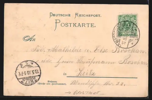 AK Magdeburg, Friedrich-Wilhelmsgarten: Park-Restaurant, Neues Gesellschaftshaus, Gruson-Gewächshäuser, Palmenhaus