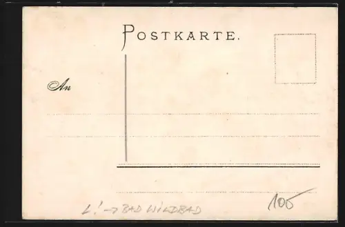 Lithographie Bad Wildbad, Stadtkirche, Milchkur-Anstalt