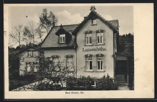 AK Bad Elster /Sa., Pension Luisenhöhe