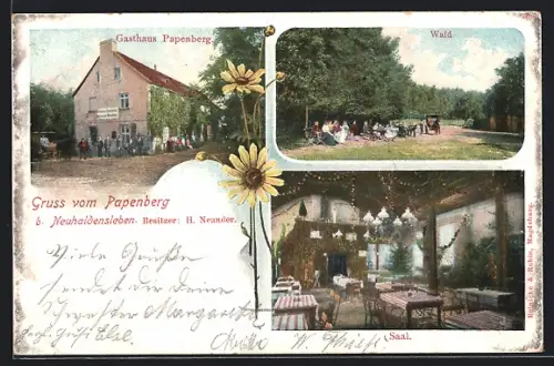AK Papenberg b. Neuhaldensleben, Gasthaus Papenberg, Inneres Saal, Wald