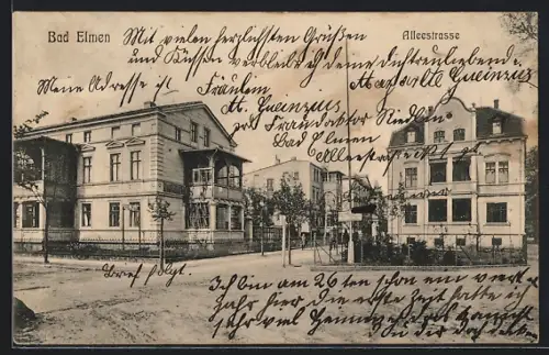 AK Bad Elmen, Villen in der Alleestrasse
