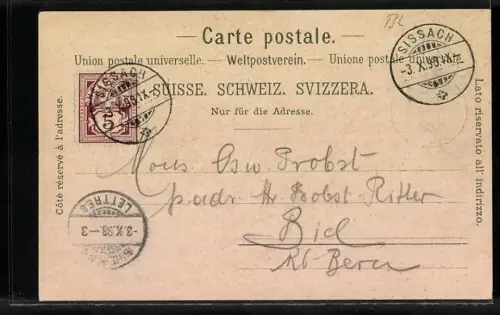 Lithographie Ormalingen, Kurhaus Farnsburg, Ruine Farnsburg, Ortspartie