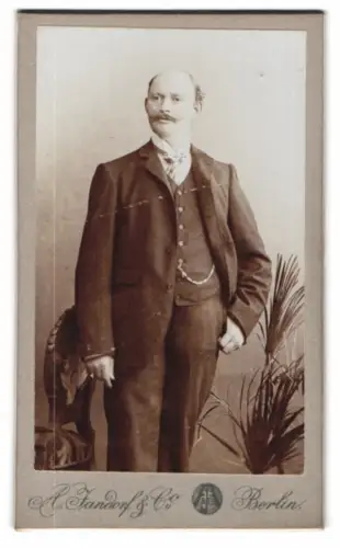 Fotografie A. Jandorf & Co, Berlin, Brunnen-Str. 19-21, Porträt eines eleganten Herrn 1904