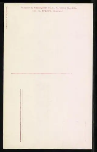 AK Prinzessin Elisaveta von Rumänien