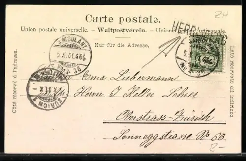 AK Meilen /ZH, Feld-Meilen, Ortspanorama vom Wasser aus