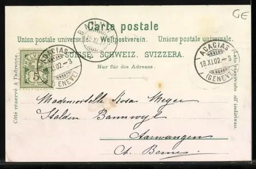 Lithographie Geneve, Gesamtansicht aus der Vogelschau, Monument National