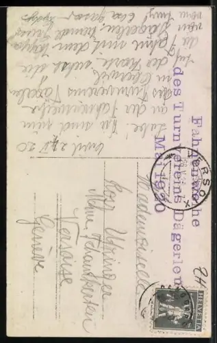 AK Dägerlen, Turnverein Dägerlen, Fahnenemblem mit Wappen, Fahnenweihe 1920