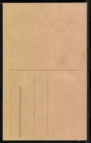 Foto-AK PFB Nr. 2036/5: Junge Frau sinniert über den Brief ihres Liebsten