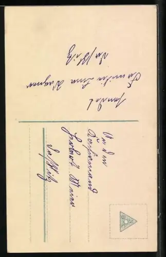 Foto-AK R & K / L Nr. 6202/2: Junge im Anzug mit Buch, Konfirmation