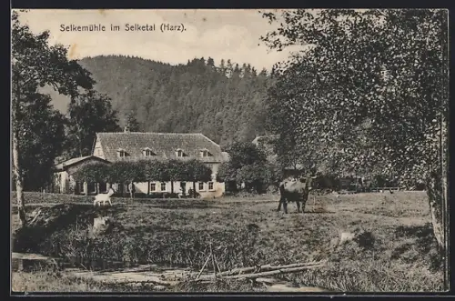 AK Selketal, Selkemühle