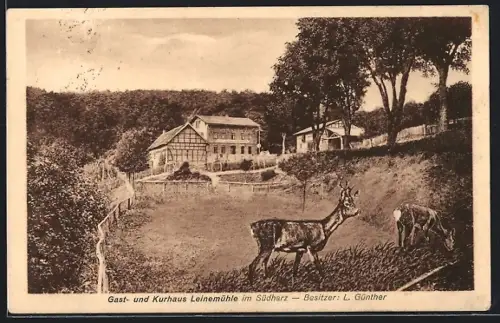 AK Leinemühle im Südharz, Gasthaus Leinemühle, Bes. L. Günther