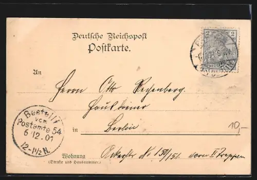 AK Berlin-Pankow, Krumme Birke im Kgl. Schlosspark