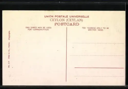 AK Kandy, Wegpartie mit Riksha-Fahrer