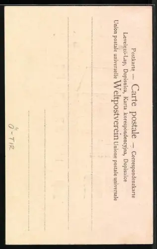 Lithographie Innsbruck, Goldenes Dachl