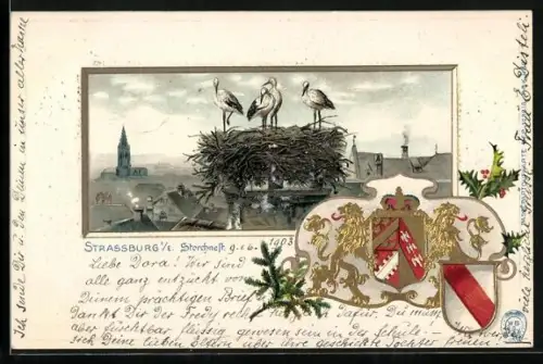 AK Strassburg, Storchnest über der Stadt mit Wappen