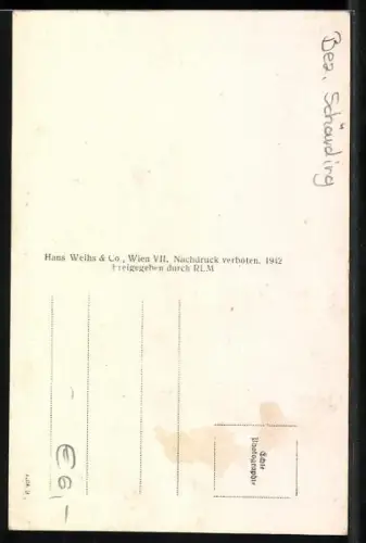 AK Raab im Innkreis, Totalansicht, Fliegeraufnahme