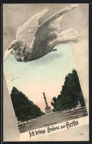 AK Berlin-Tiergarten, Siegesallee, weisse Taube