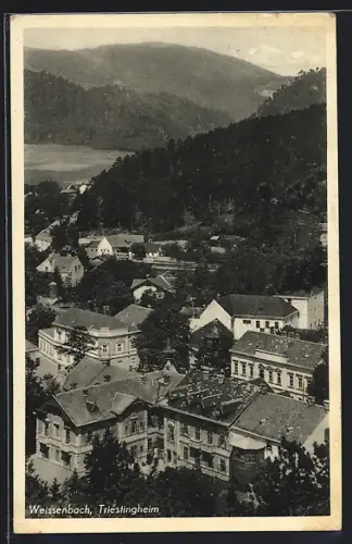 AK Weissenbach, Triestingheim, Teilansicht mit Bergen
