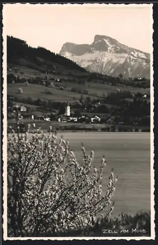 AK Zell am Moos, Ortsansicht