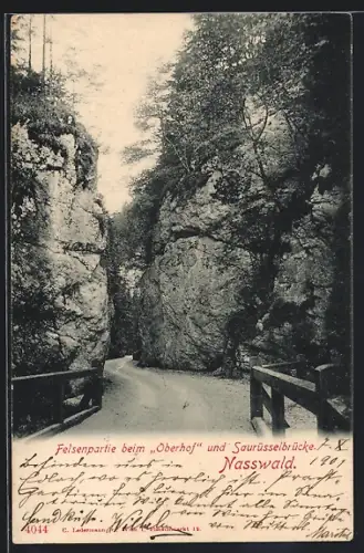 AK Nasswald, Felsenpartie beim Hotel Oberhof und Saurüsselbrücke