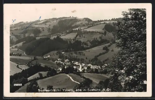 AK Ybbsitz, Ortsansicht vom Berghang aus