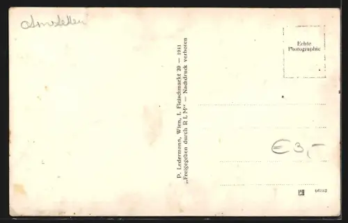 AK Ybbsitz, Ortsansicht vom Berghang aus