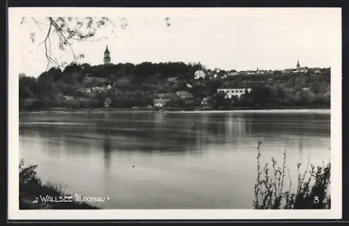 AK Wallsee an der Donau, Ortsansicht vom Wasser aus