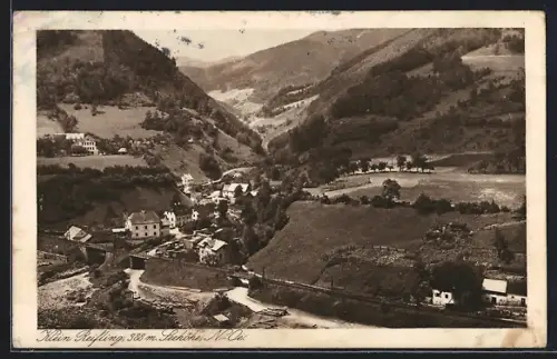 AK Klein Reifling /N.-Oe., Teilansicht mit Bergen