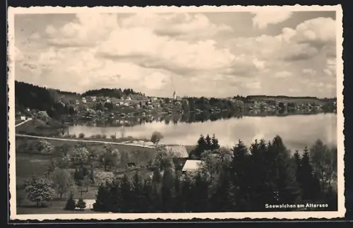 AK Seewalchen am Attersee, Panorama mit Bäumen