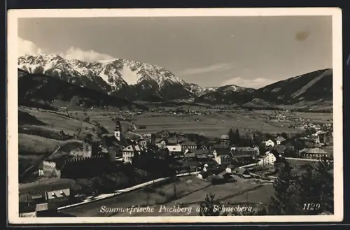 AK Puchberg am Schneeberg, Teilansicht mit Strassenpartie