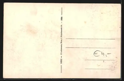 AK Laxenburg /N.-Oe., Überfuhr mit Gondel