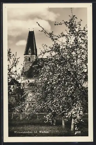 AK Weissenkirchen i. d. Wachau, Ortspartie mit Kirche