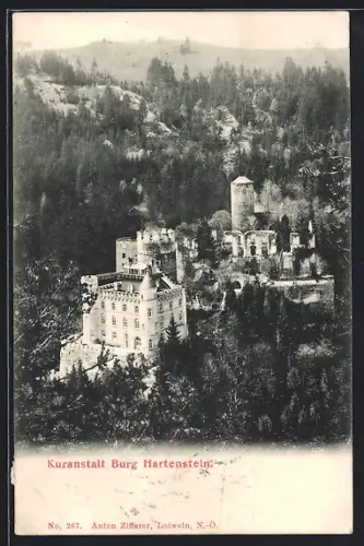 AK Weinzierl am Walde, Kuranstalt Burg Hartenstein von oben