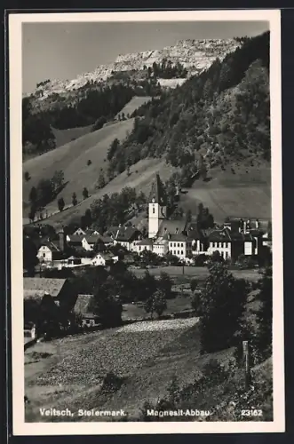 AK Veitsch, Ortsansicht, Magnesit-Abbau