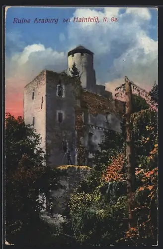AK Hainfeld /N. Oe., Ruine Araburg