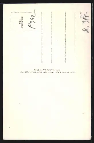 AK Gurk, Dom vom Flugzeug aus