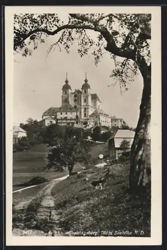 AK Sonntagberg /N. D., Ortspartie mit Kirche