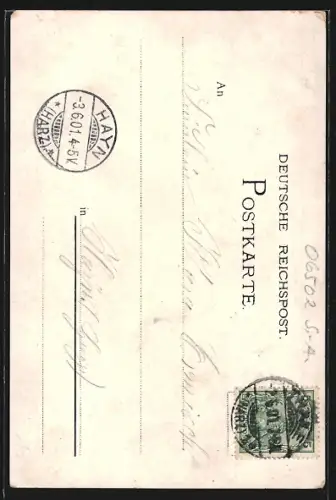 Lithographie Hexentanzplatz, Bodekessel und Teufelsbrücke, Partie am Hirschgrund